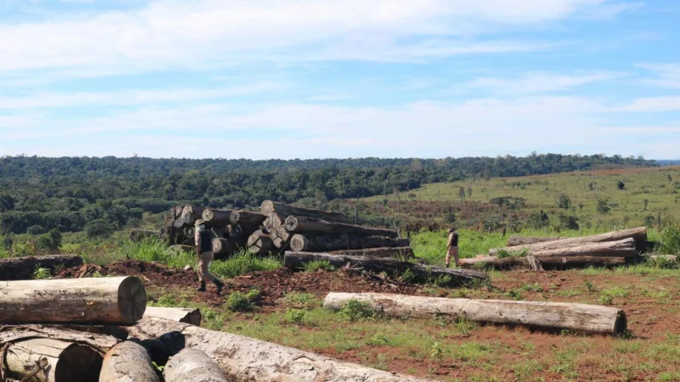 Brasil quer zerar o desmatamento antes de 2030, diz ministro do Meio Ambiente