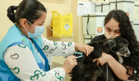 Vacinação antirrábica animal tem programação iniciada em Manaus