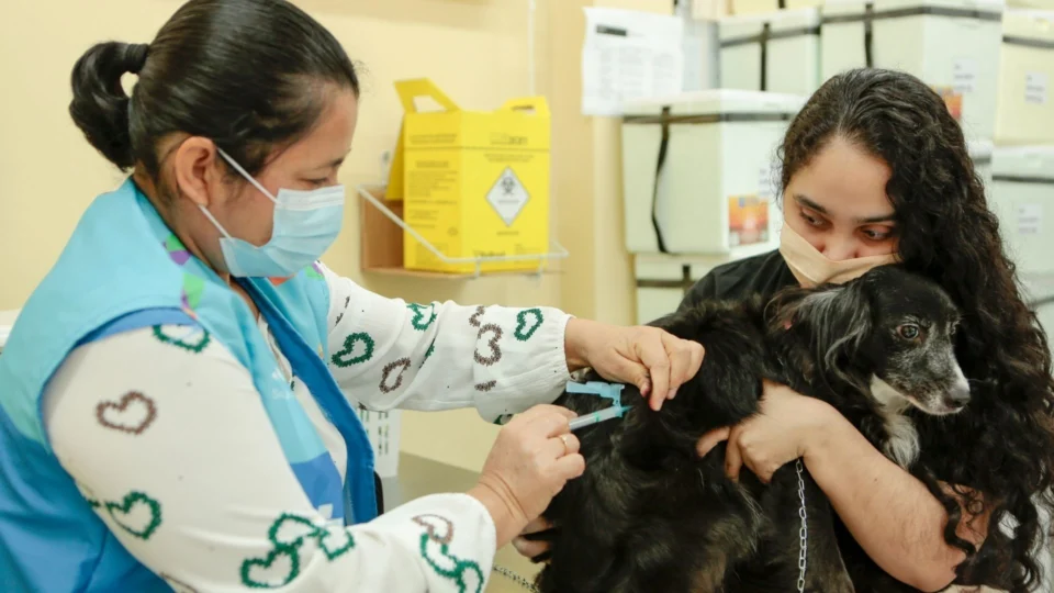 Vacinação antirrábica animal tem programação iniciada em Manaus