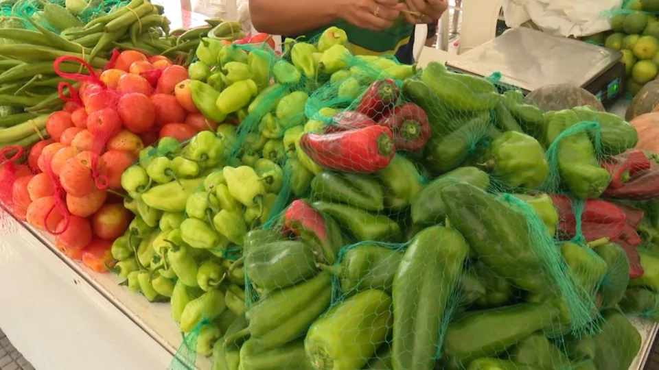 Feira de produtos regionais é inaugurada na Ponta Negra, em Manaus