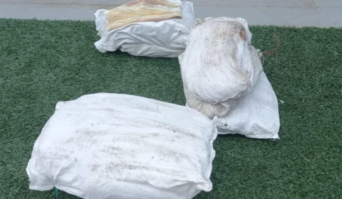 Mais de 200 kg de pescado ilegal são apreendidos no Amazonas