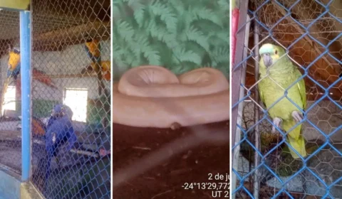 Ibama embarga hotel fazenda em SP por estar em terra indígena