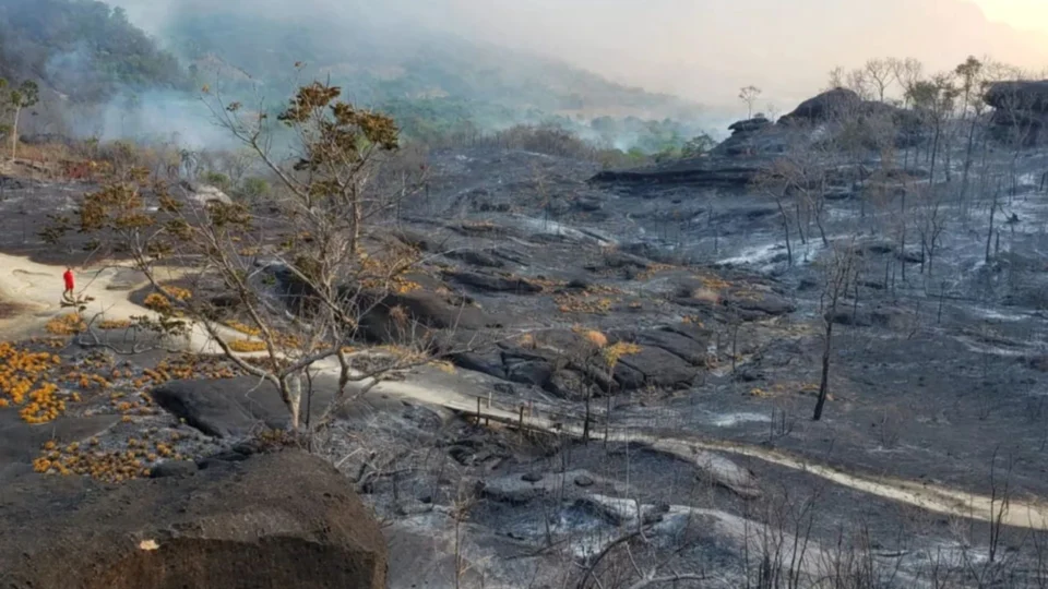 Incêndio no Vale da Lua já percorre 20 km na região dos Veadeiros, em Goiás