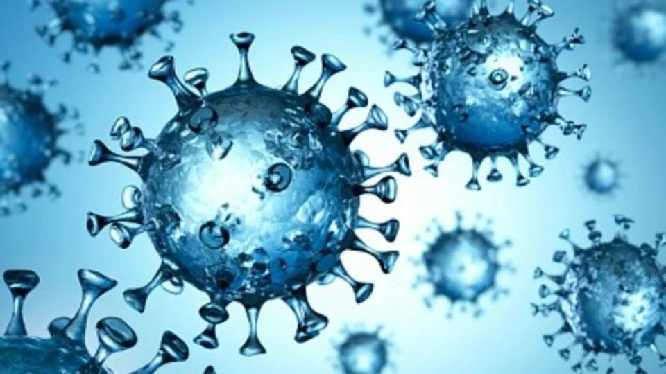 Porto Alegre confirma primeiro caso da variante Ômicron; o 7° caso no Brasil