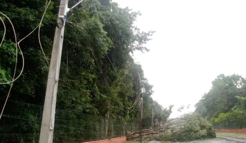 No AM, Manaus, Manacapuru e Iranduba ficam sem energia nesta segunda-feira