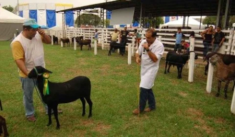 Expoagro vai para o Kartódromo da Vila Olímpica de Manaus e pretende movimentar R$ 100 milhões em negócios