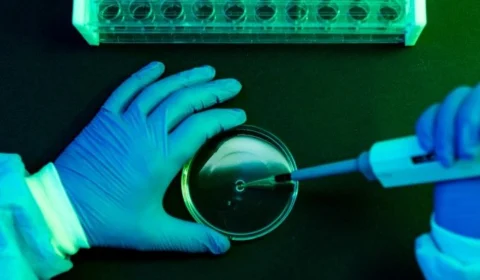 Ministério da Saúde identifica três casos da subvariante da ômicron BA.2 no Brasil