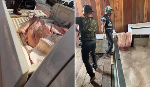 Mais de 370 quilos de peixes são apreendidos em Manacapuru-AM