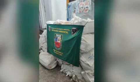 Depósito clandestino de pescado é fechado no bairro Nossa Senhora das Graças, em Manaus