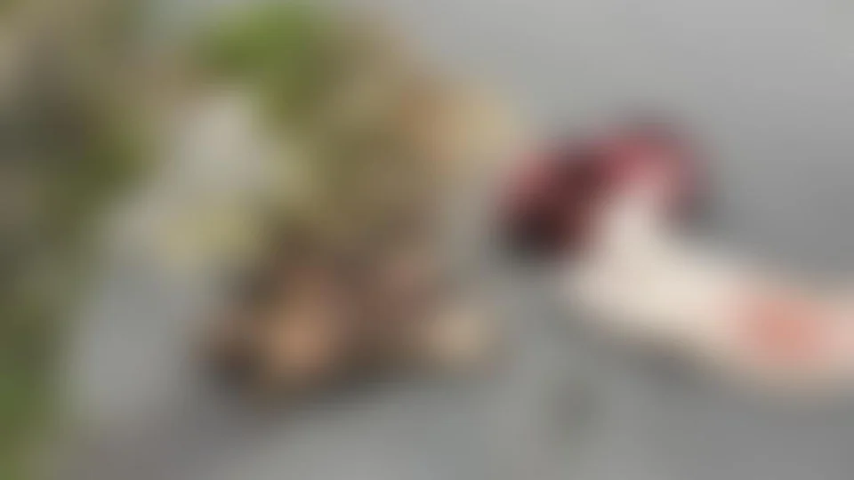 Corpo de homem esquartejado é encontrado espalhado em rua do bairro Mutirão, na Zona Norte de Manaus