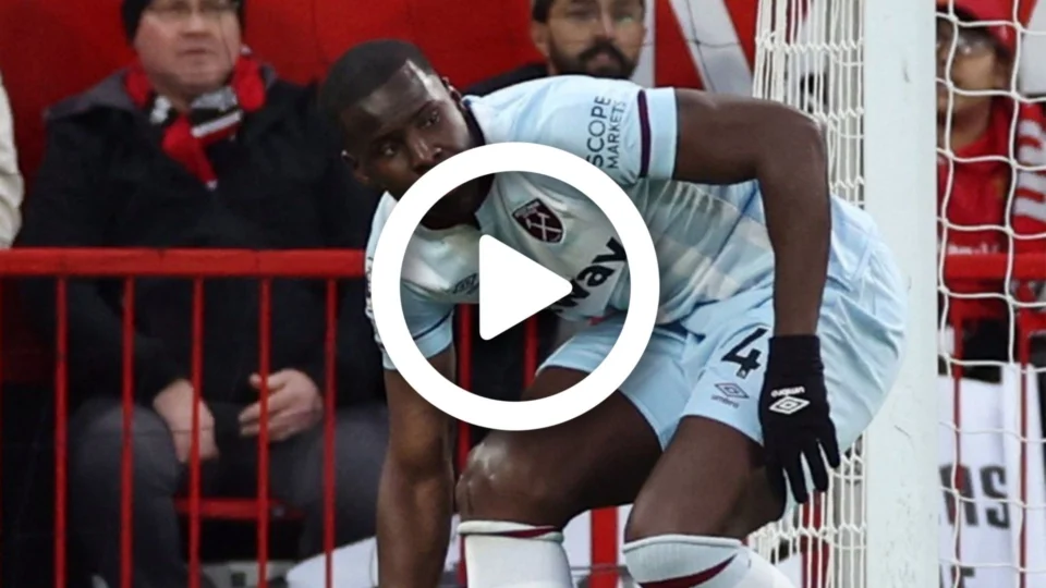 VÍDEO: jogador de 27 anos aparece em vídeo maltratando gato com tapas e chutes