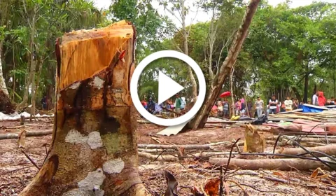 VÍDEO: em Manaus, polícia realiza manutenção de posse no bairro do Tarumã