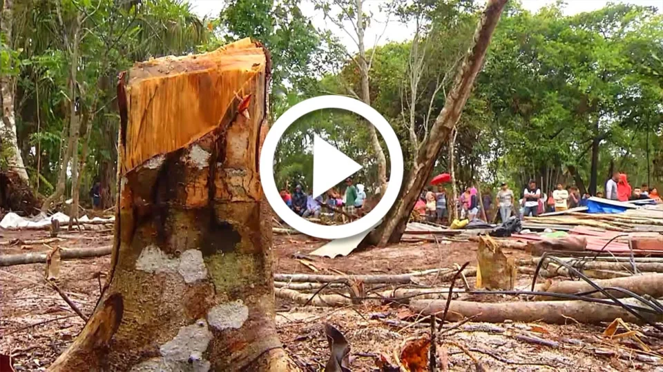 VÍDEO: em Manaus, polícia realiza manutenção de posse no bairro do Tarumã