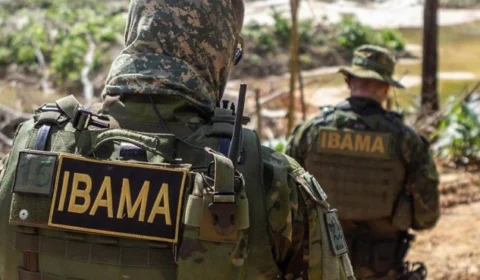 Concurso do Ibama: comissão formada