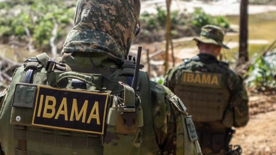 Concurso do Ibama: comissão formada