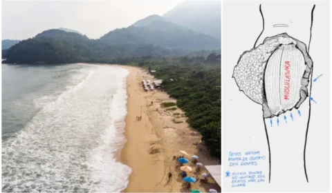 Segundo ataque em um mês: Idosa é mordida por tubarão em Ubatuba, São Paulo