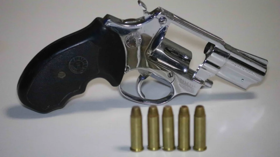 Mais de 200 armas de fogo são retiradas de circulação no AM em 2021