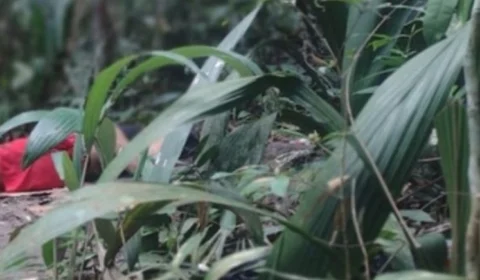 Jovem suspeito de sequestrar e matar mulher com dois tiros é preso na Zona Leste de Manaus