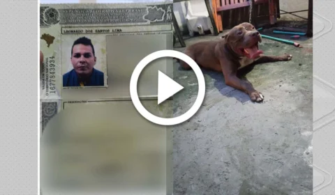 VÍDEO: idosa é atacada por cão na Zona Norte de Manaus