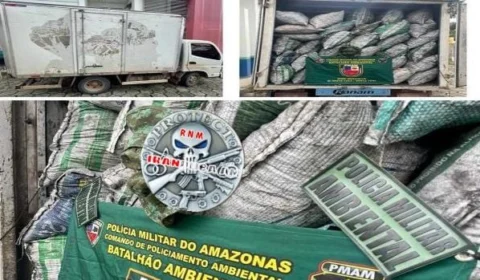 Na AM-010, Polícia Militar apreende carga de carvão vegetal de procedência ilegal