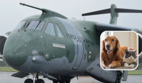 Governo Federal autoriza FAB a trazer também pets de brasileiros que deixaram a Ucrânia