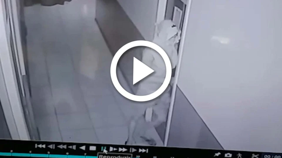 VÍDEO: autoescola é assaltada por quadrilha na Zona Norte de Manaus