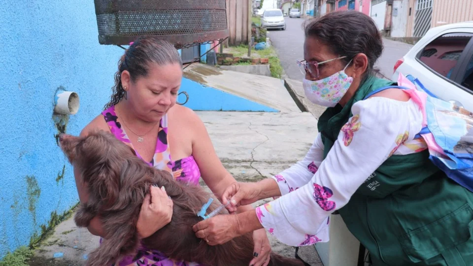 CCZ realiza vacinação antirrábica em domicílios da Zona Norte de Manaus