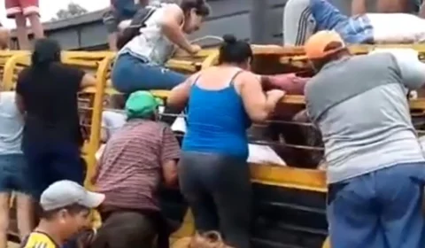 VÍDEO: vacas são esquartejadas vivas após moradores saquearem caminhão de carga envolvido em acidente com trem