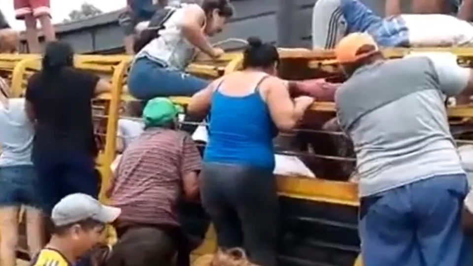 VÍDEO: vacas são esquartejadas vivas após moradores saquearem caminhão de carga envolvido em acidente com trem