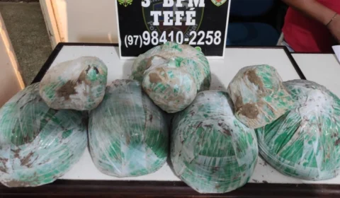 Operação Hórus apreende drogas enterradas em área de mata, em Tefé-AM