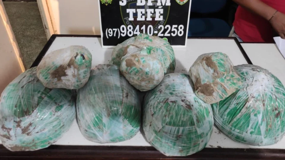 Operação Hórus apreende drogas enterradas em área de mata, em Tefé-AM