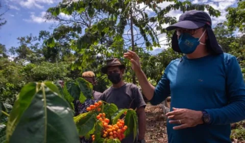 Programa Olhos da Floresta no Amazonas tem ampliação em 16 municípios