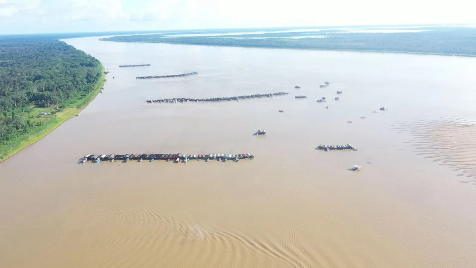 Garimpo no Madeira: minamata, mercurialismo, paralisia; veja doenças e problemas que garimpo ilegal causam à saúde