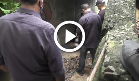 VÍDEO: corpo é encontrado embaixo de ponte na Zona Oeste de Manaus