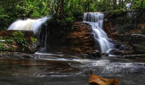 Amazonas solicita relatório sobre áreas de risco de desastres naturais em atrativos turísticos do estado