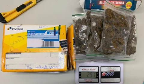 Drogas ‘camufladas’ em tênis, celulares e chuveiro são encontradas em Manaus; veja fotos