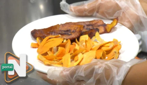 VÍDEO: pesquisadores do Amazonas descobrem novo benefício do tucumã