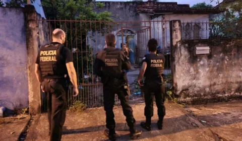 Operação Pavão Misterioso combate crimes de extração ilegal de madeira, no Pará