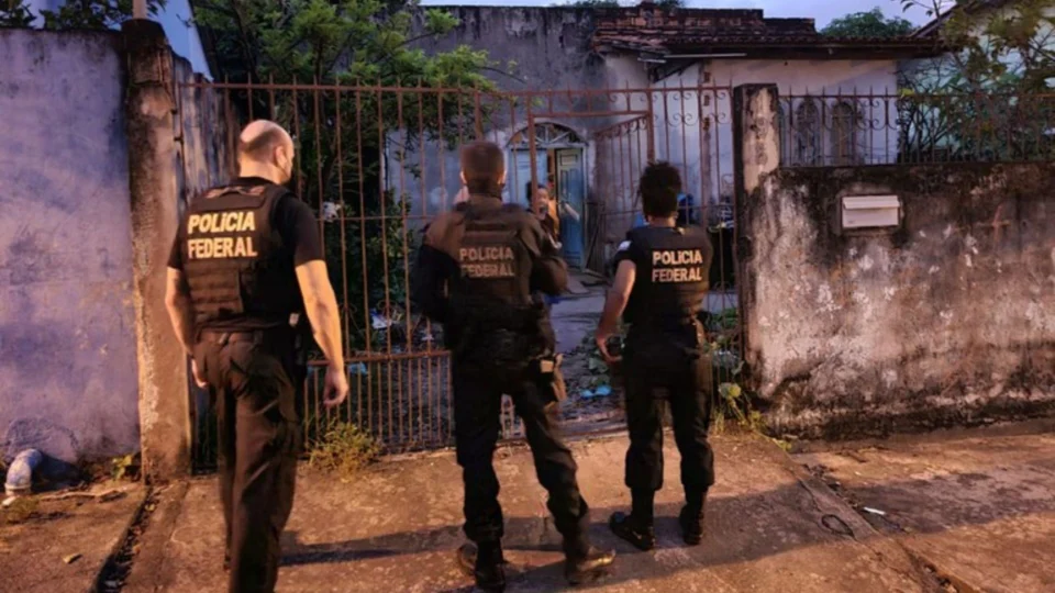 Operação Pavão Misterioso combate crimes de extração ilegal de madeira, no Pará