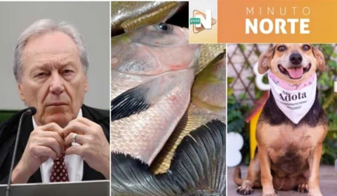 VÍDEO: Confira os destaques da noite desta terça-feira