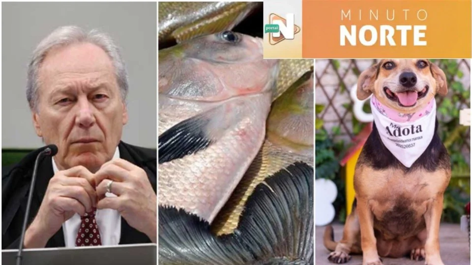 VÍDEO: Confira os destaques da noite desta terça-feira