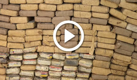 VÍDEO: meia tonelada de drogas é apreendida na Zona Centro Oeste de Manaus