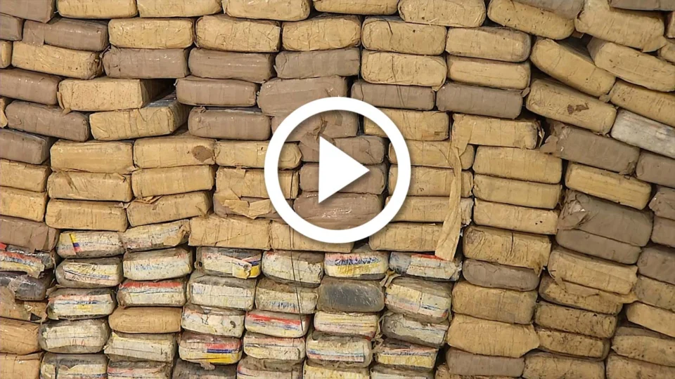 VÍDEO: meia tonelada de drogas é apreendida na Zona Centro Oeste de Manaus