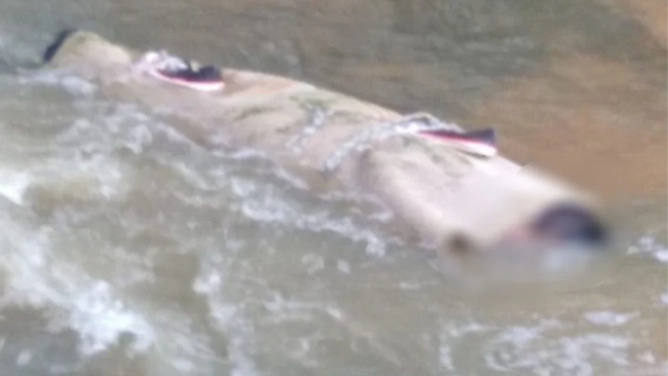 Corpo de técnico de enfermagem é encontrado enrolado em um tapete na Cachoeira das Almas, no bairro Tarumã, em Manaus