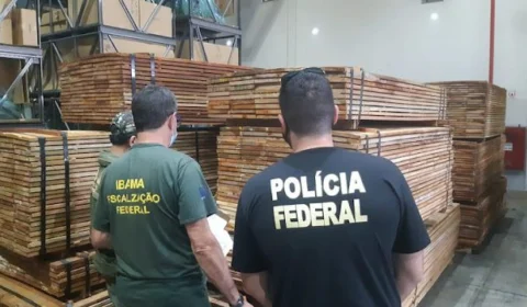 PF usa software para identificar madeira ilegal no Porto de Manaus