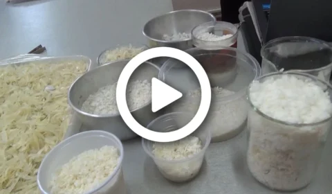 VÍDEO: estudantes desenvolvem produtos feitos de escamas de peixe em Manacapuru-AM