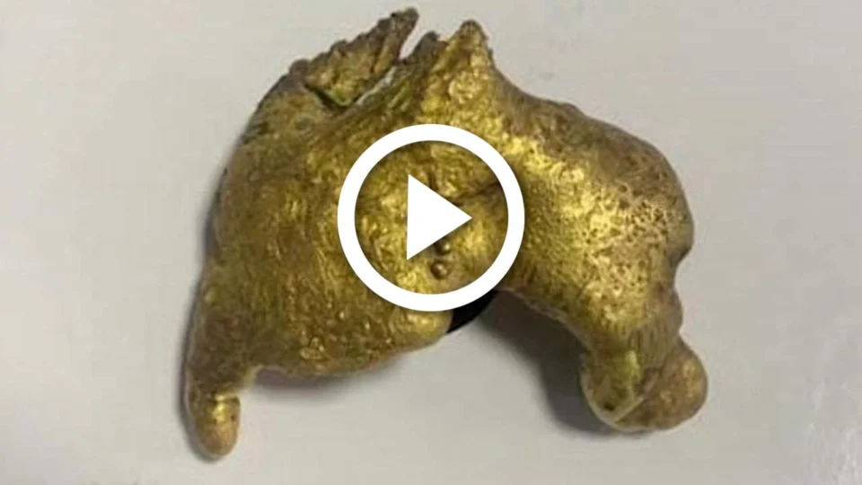 VÍDEO: ouro ilegal é apreendido dentro de embarcação no Amazonas