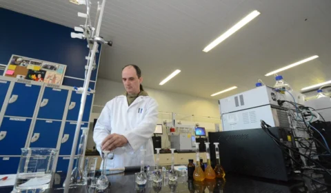 Pesquisa desenvolve técnicas mais eficientes para extração do óleo de jambu, no AM