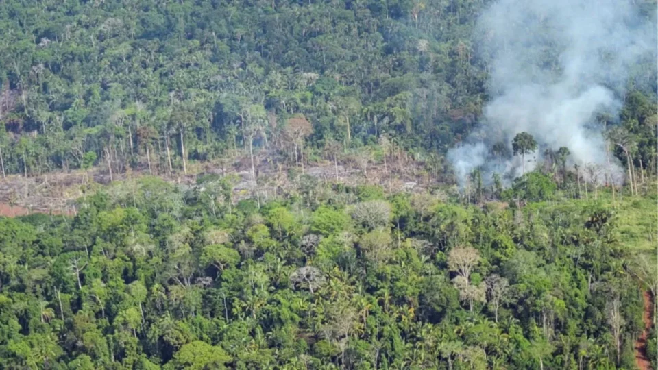 MPF inicia investigação sobre relatos de ataques de grileiros a indígenas no Pará