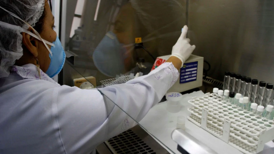 Monkeypox: Amazonas tem 12 casos suspeitos de varíola dos macacos